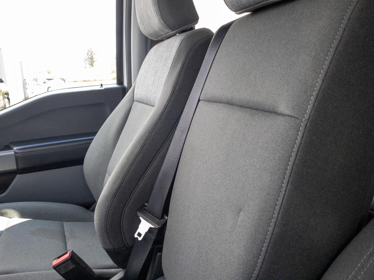 2023 Ford F-150 XLT - Two Sets of Tires, Cooled Front Seat(s) Photo