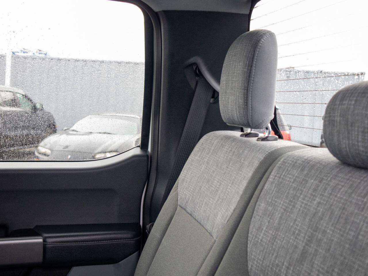 2023 Ford F-150 XLT - Two Sets of Tires, Cooled Front Seat(s) Photo