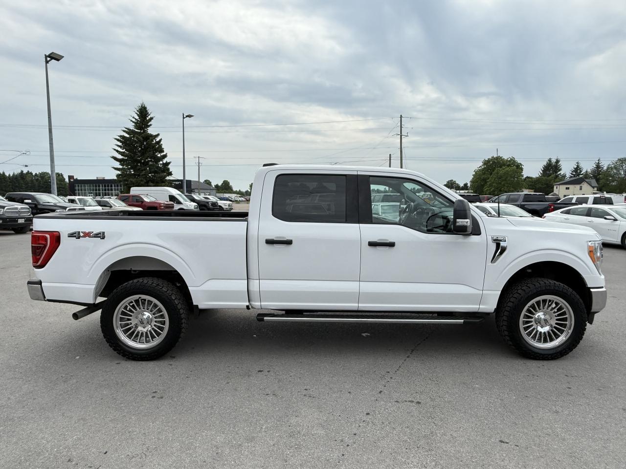 2021 Ford F-150 XLT 4WD SuperCrew 6.5' Box Photo