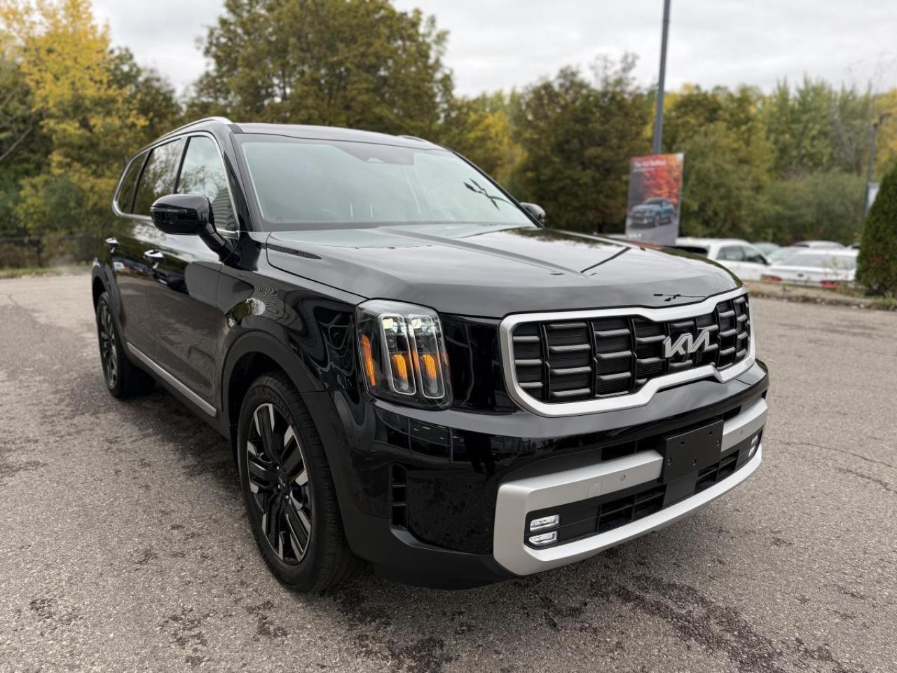 2025 Kia Telluride SX AWD Photo2