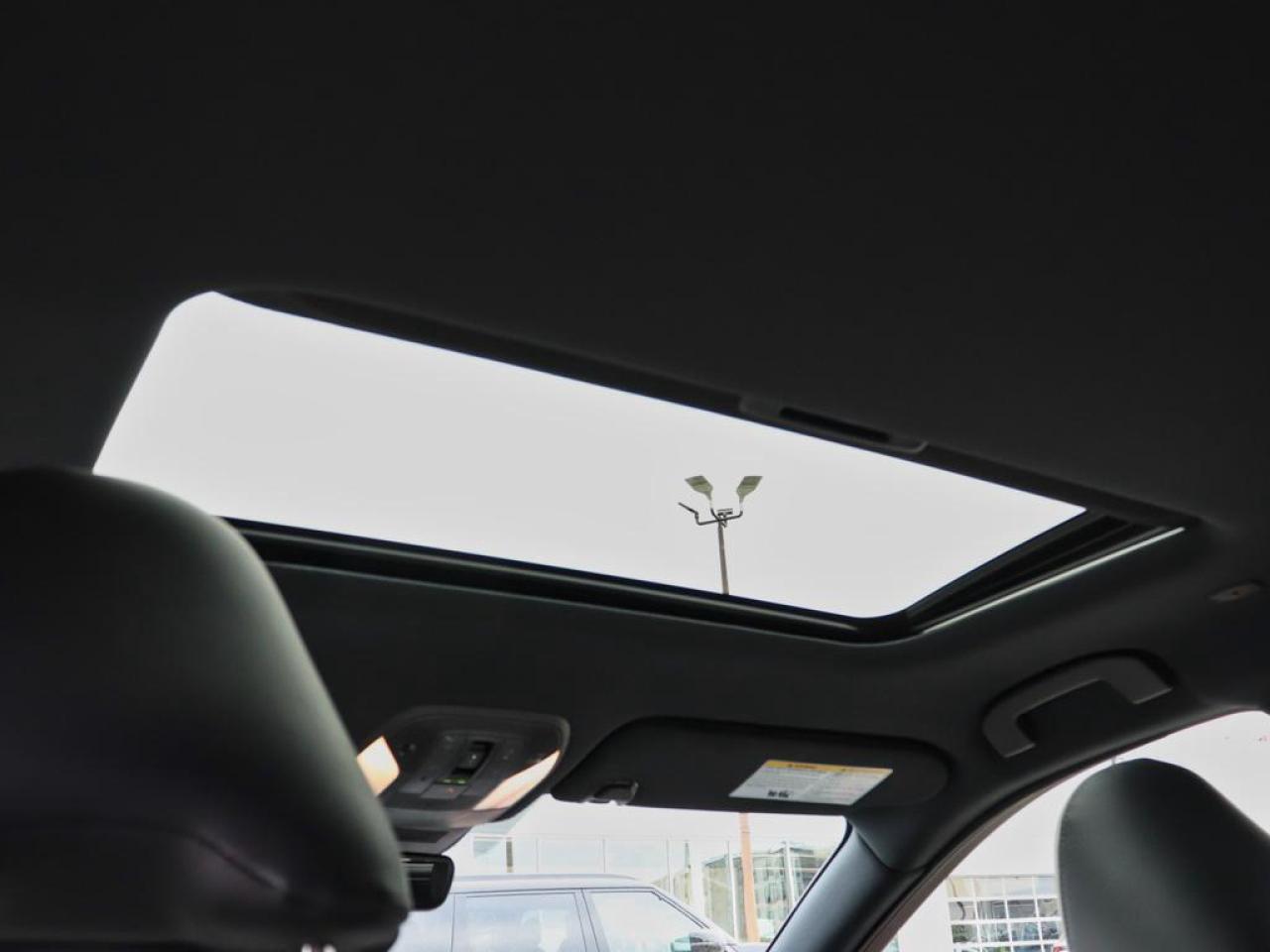 2025 Infiniti QX55 SENSORY  HUD, COOLING SEATS 360 CAM! Photo