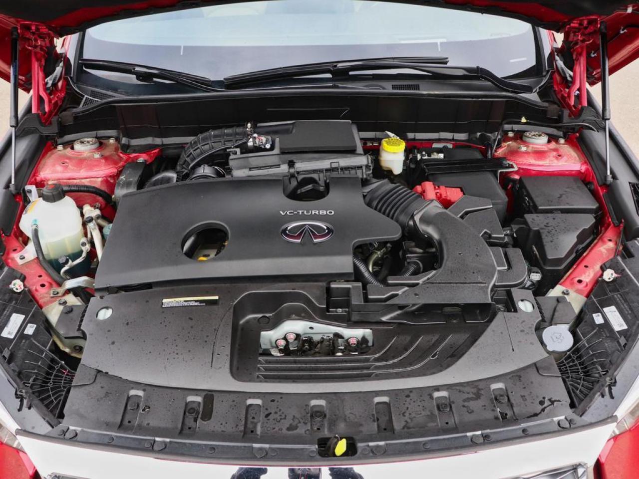 2025 Infiniti QX55 SENSORY  HUD, COOLING SEATS 360 CAM! Photo