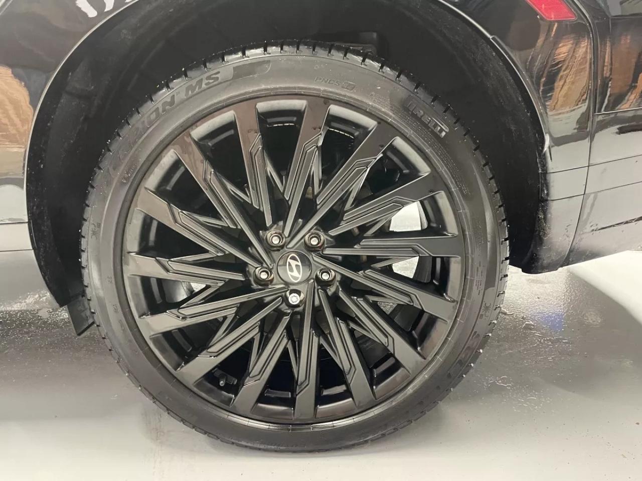 2024 Hyundai Santa Fe Ultimate Calligraphy Photo