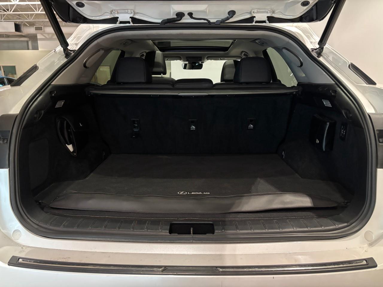 2017 Lexus RX 350 Executive Package   Carfax Clean   Fully Loaded Photo