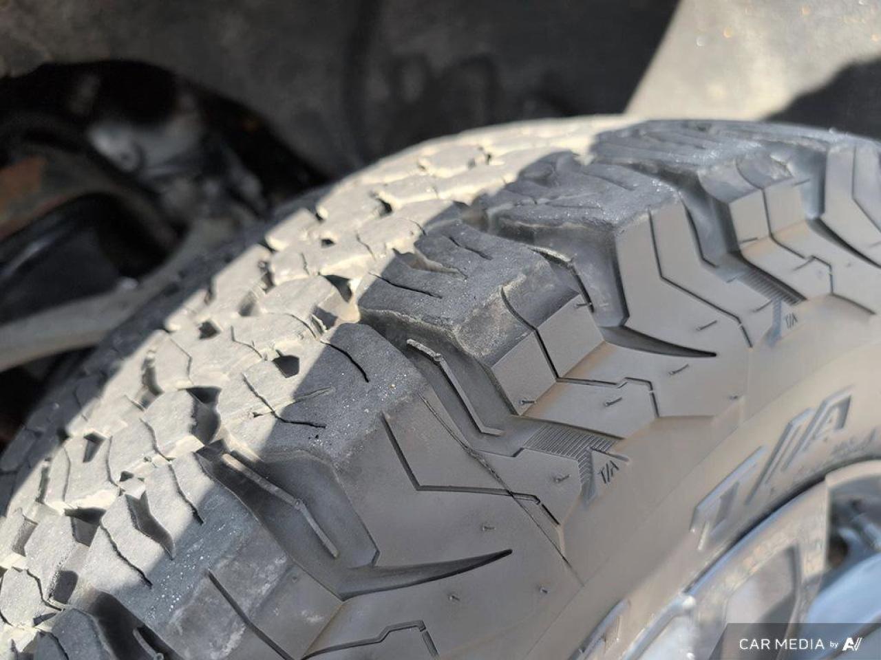 2020 Chevrolet Silverado 1500 LT Trail BossLT TRAIL BOSS   One Owner   Trailer B Photo