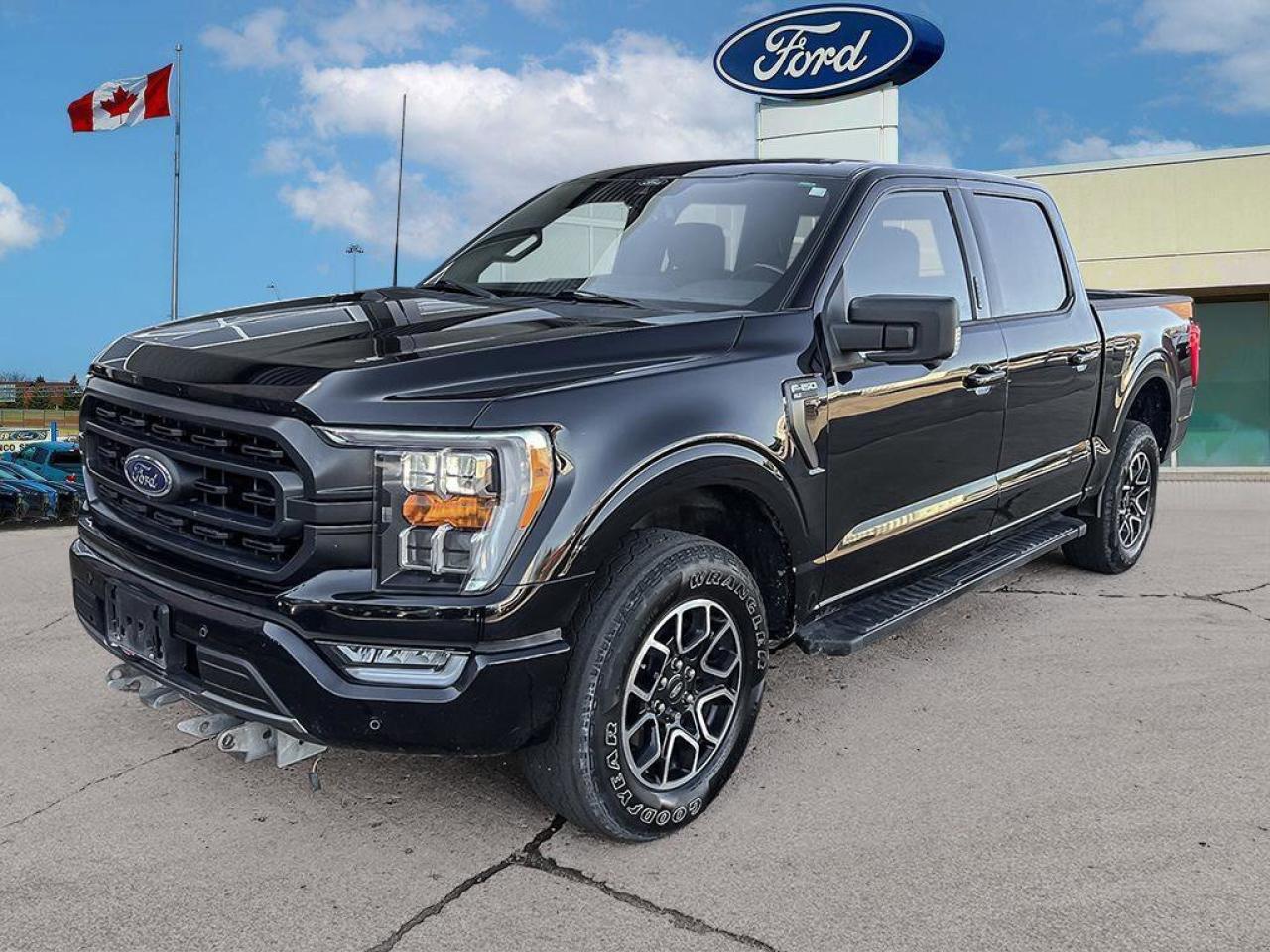 2021 Ford F-150 XLT   TAILGATE STEP   TRAILER TOW PKG TAILGATE STE Photo