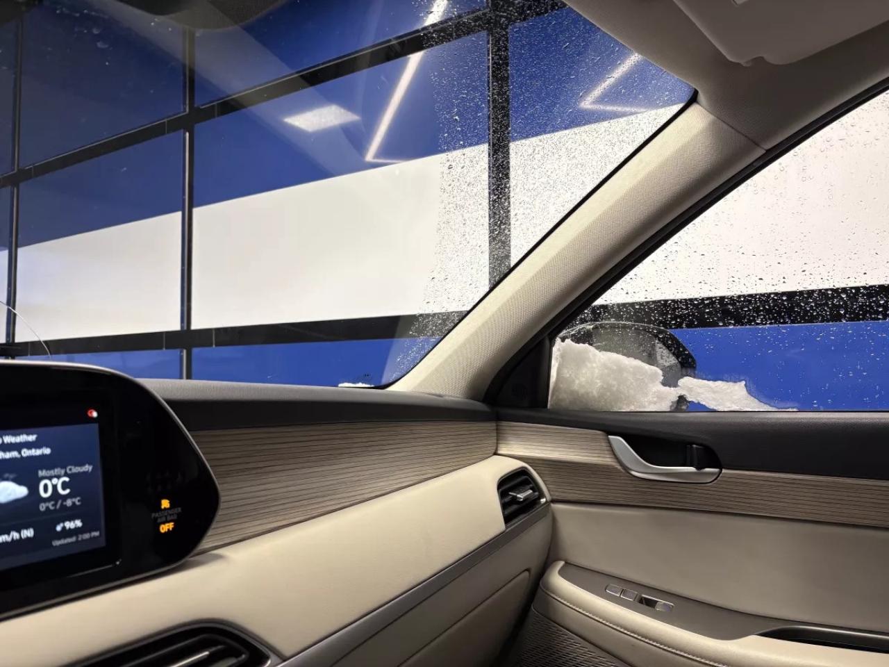 2020 Hyundai PALISADE LUXURY Photo