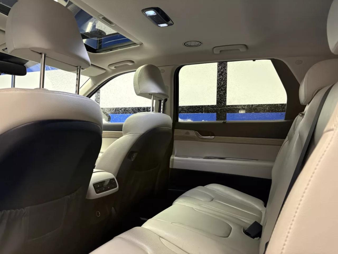 2020 Hyundai PALISADE LUXURY Photo