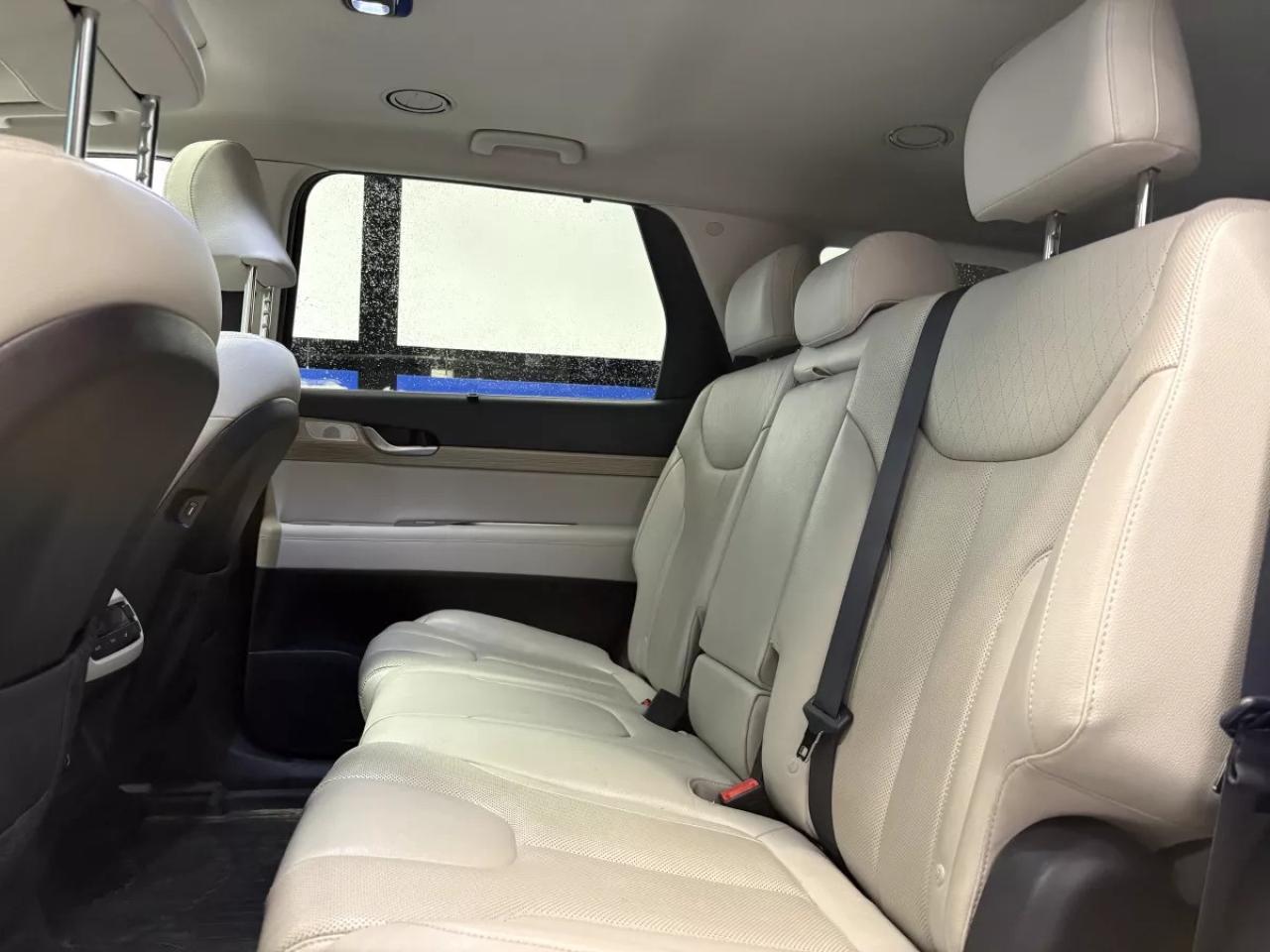 2020 Hyundai PALISADE LUXURY Photo