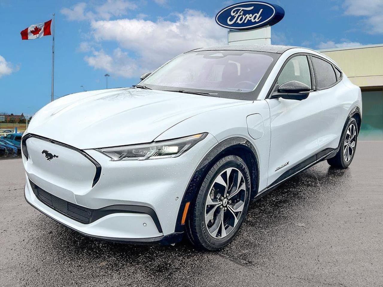 2021 Ford Mustang Mach-E Premium   ONE OWNER   EXT BATTERY   AWD ONE OWNER Photo