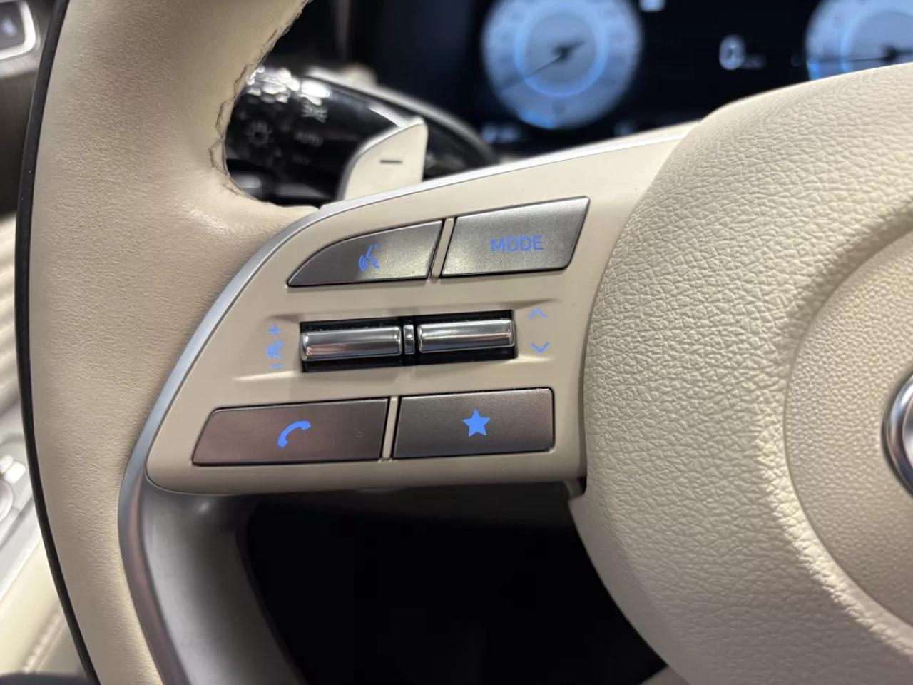 2024 Hyundai PALISADE Ultimate Calligraphy Photo