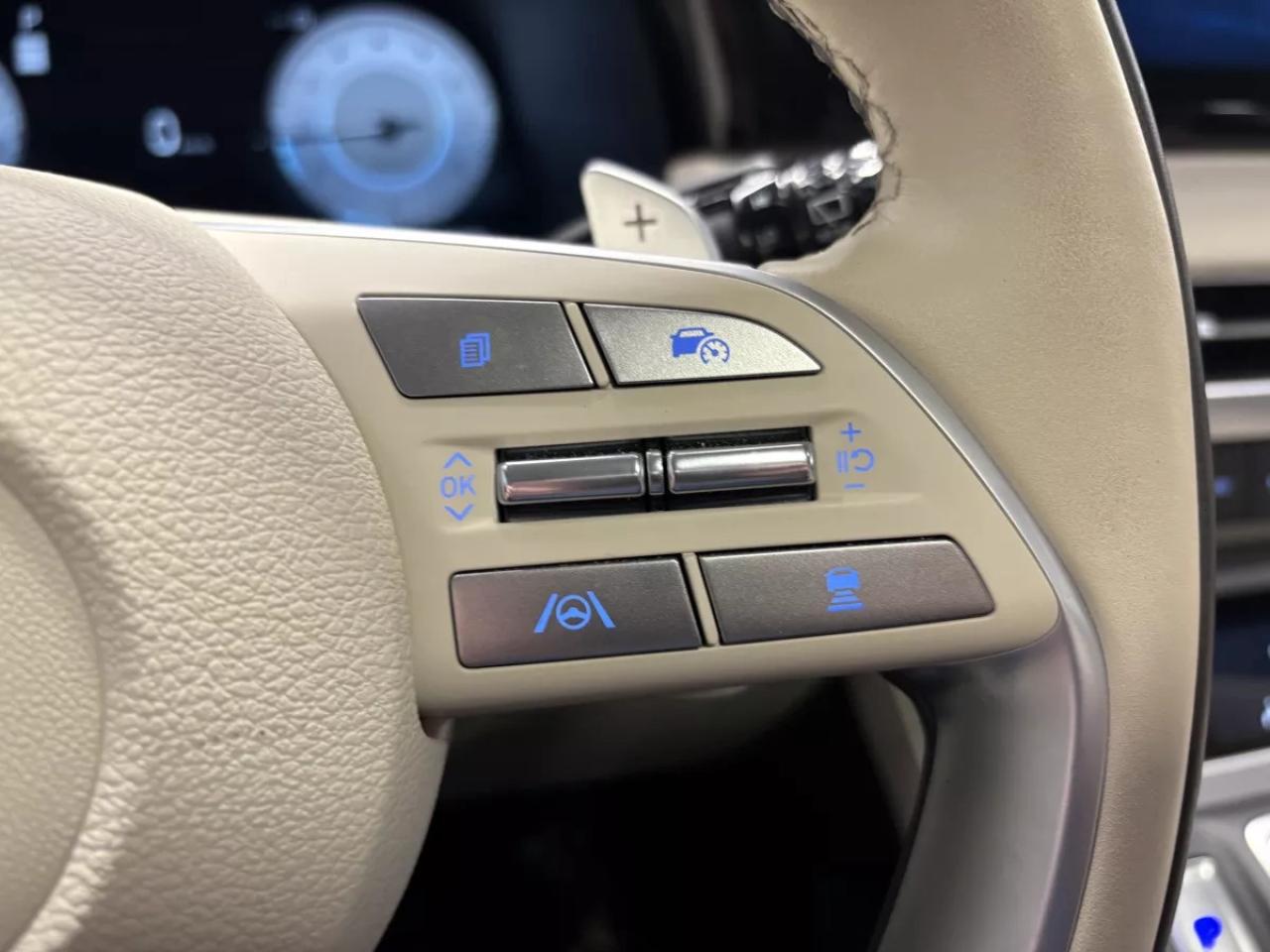 2024 Hyundai PALISADE Ultimate Calligraphy Photo