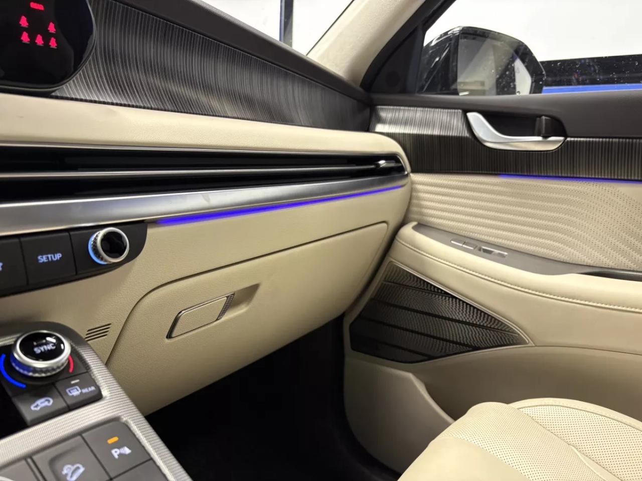 2024 Hyundai PALISADE Ultimate Calligraphy Photo