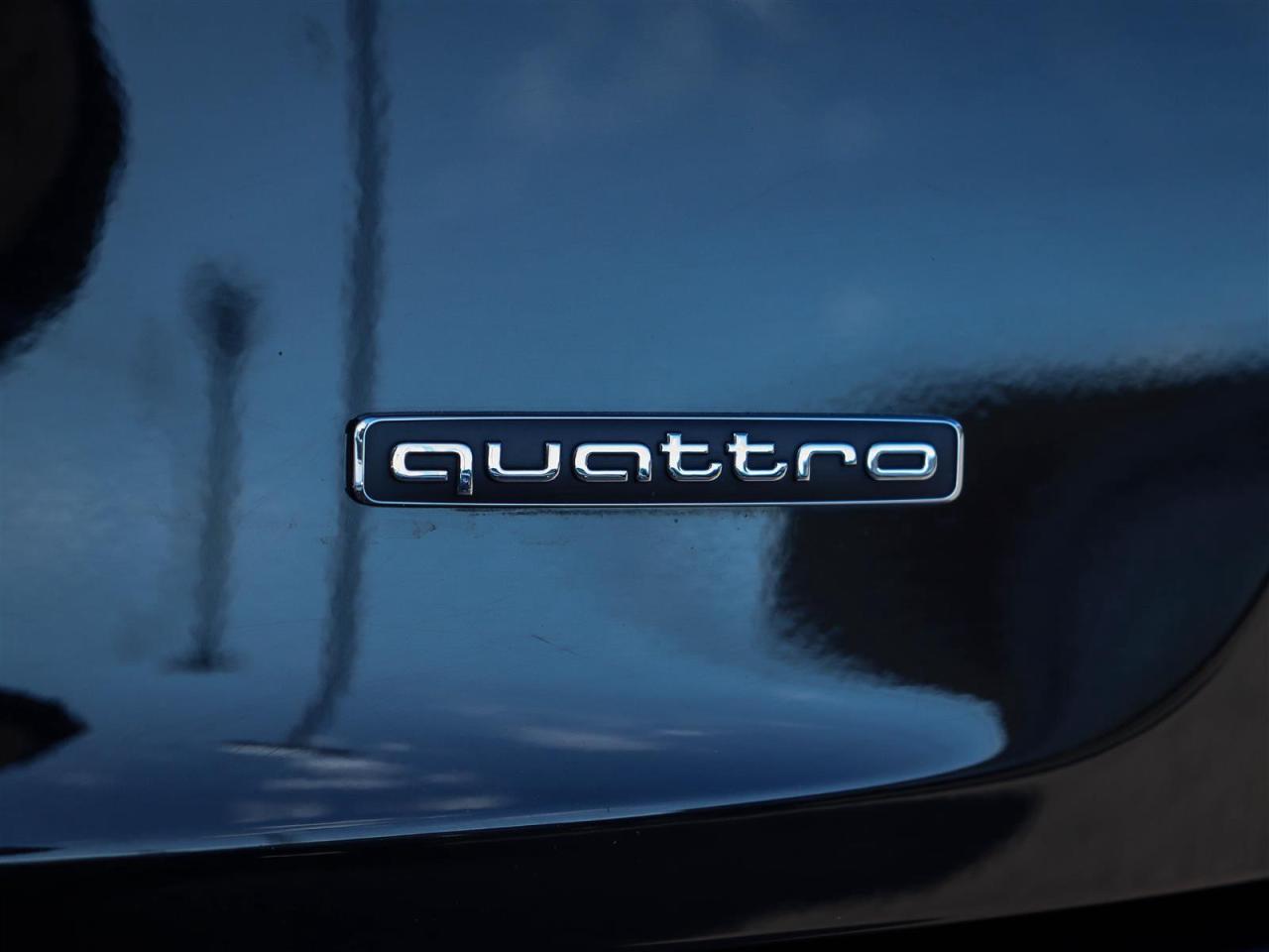 2022 Audi Q5 45 2.0T Technik quattro 7sp S Tronic Photo