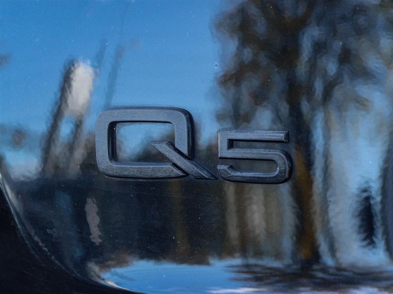 2023 Audi Q5 45 2.0T Progressiv quattro 7sp S Tronic Photo