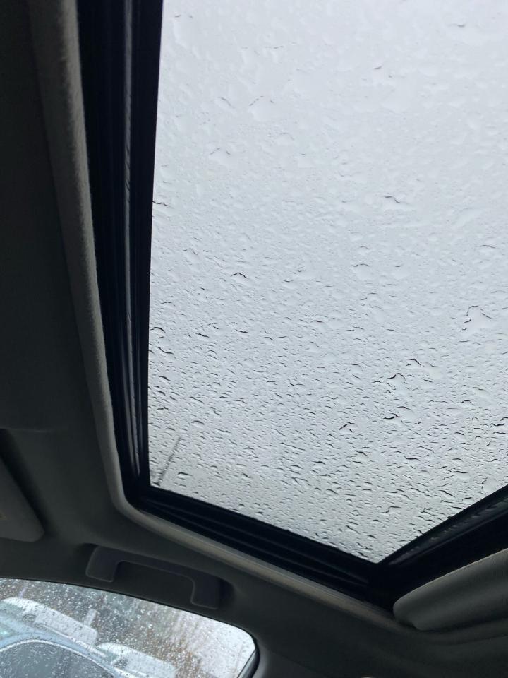 2015 Toyota RAV4 AWD 4dr Limited Photo