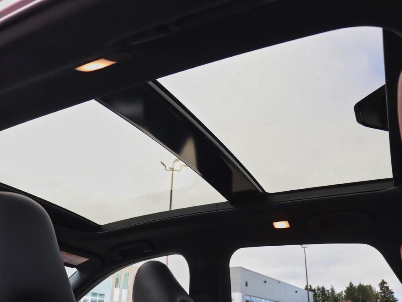 2025 Infiniti QX50 SPORT  2 TONE BLACK AND RED LEATHER! Photo