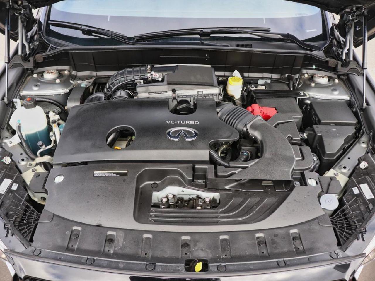 2025 Infiniti QX50 SPORT  2 TONE BLACK AND RED LEATHER! Photo