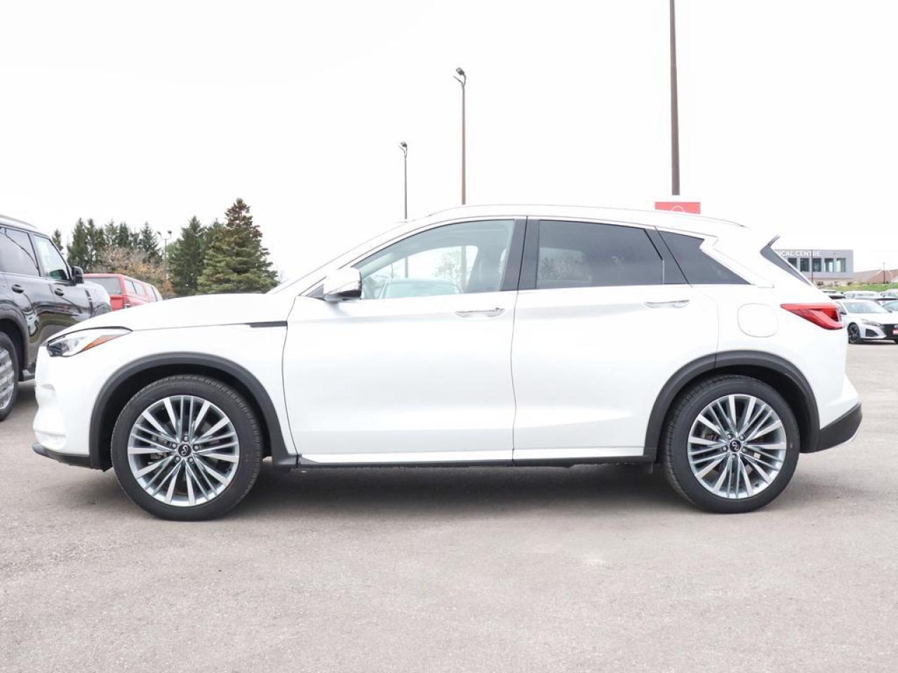 2024 Infiniti QX50 Sensory  - HUD -  Sunroof -  Navigation Photo
