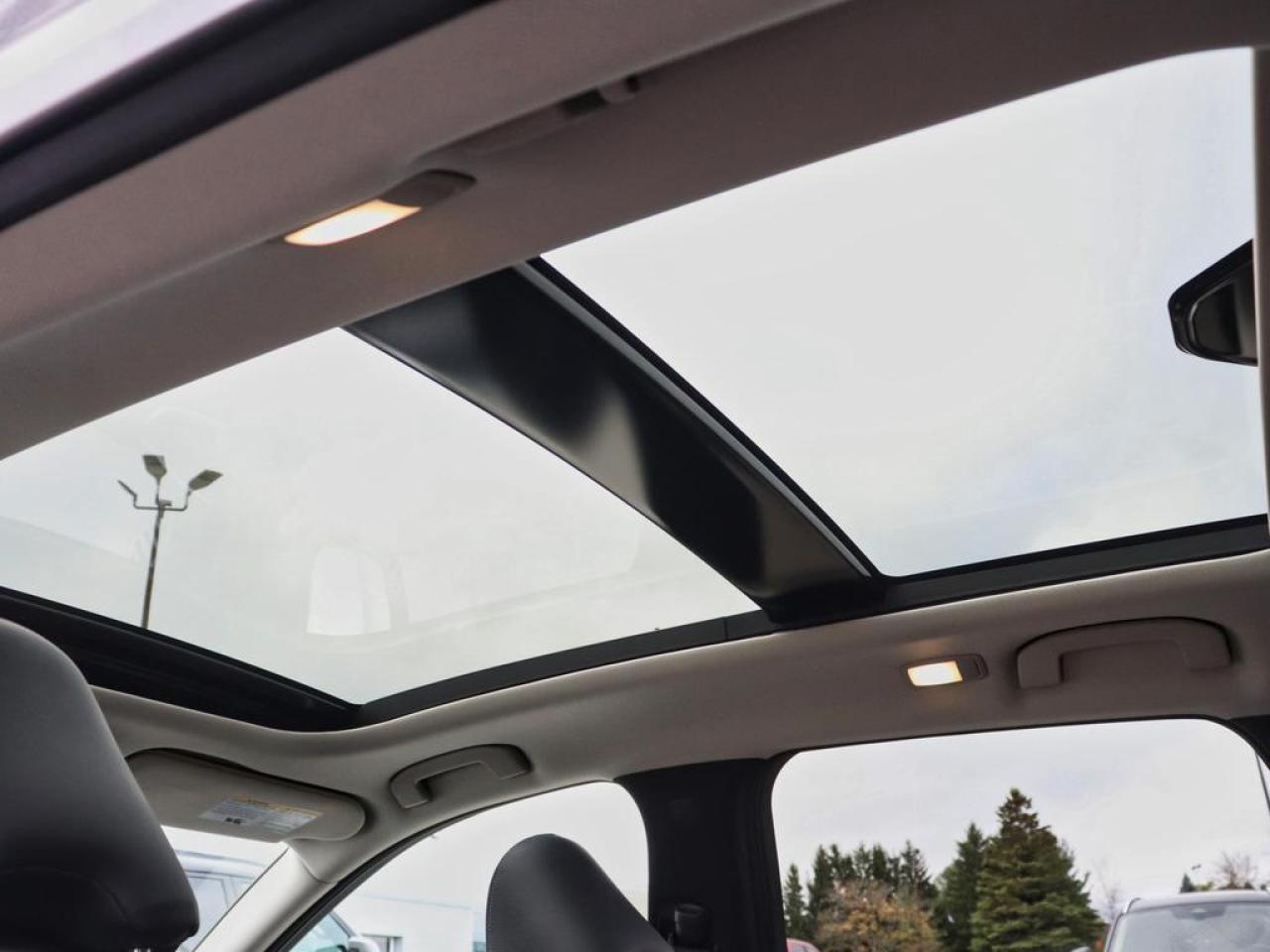 2024 Infiniti QX50 Sensory  - HUD -  Sunroof -  Navigation Photo