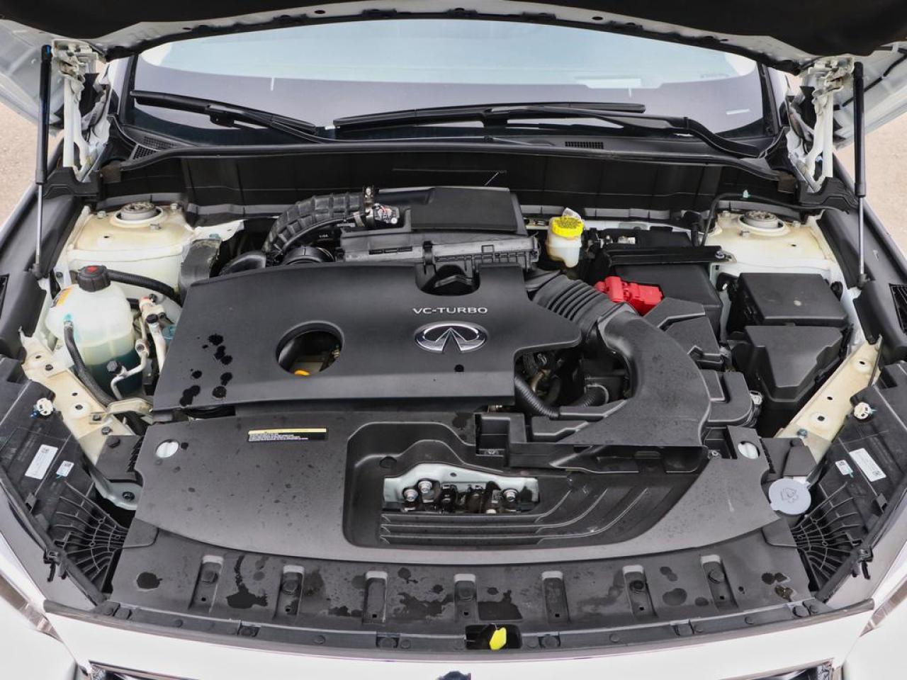 2024 Infiniti QX50 Sensory  - HUD -  Sunroof -  Navigation Photo