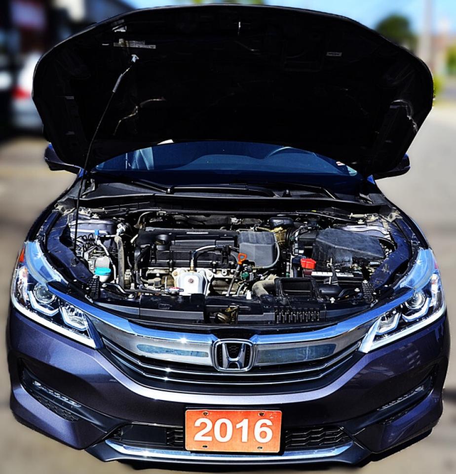 2016 Honda Accord Sedan 4dr I4 CVT EX-L Photo