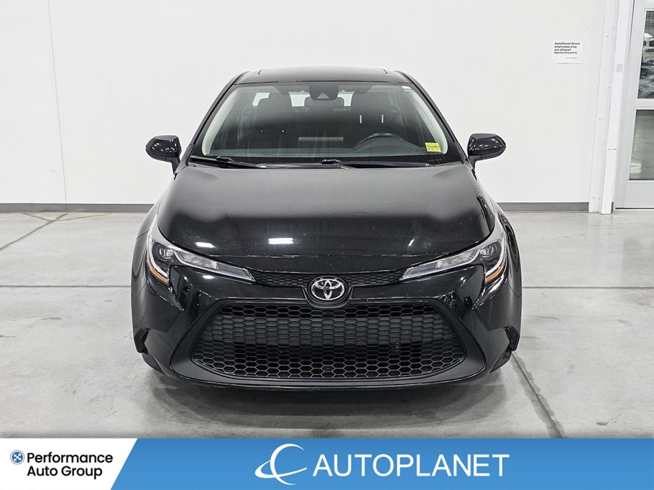 2022 Toyota Corolla LE - FINANCE @$72/WK OR LEASE @$83/WK Photo