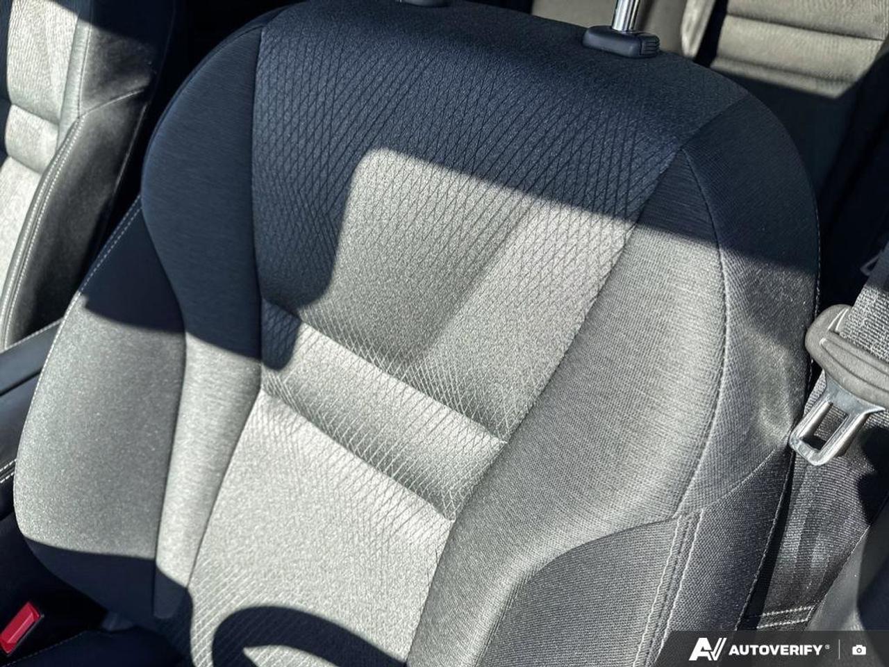 2024 Nissan Rogue SV Moonroof   Apple CarPlay   Clean Carfax   Heate Photo