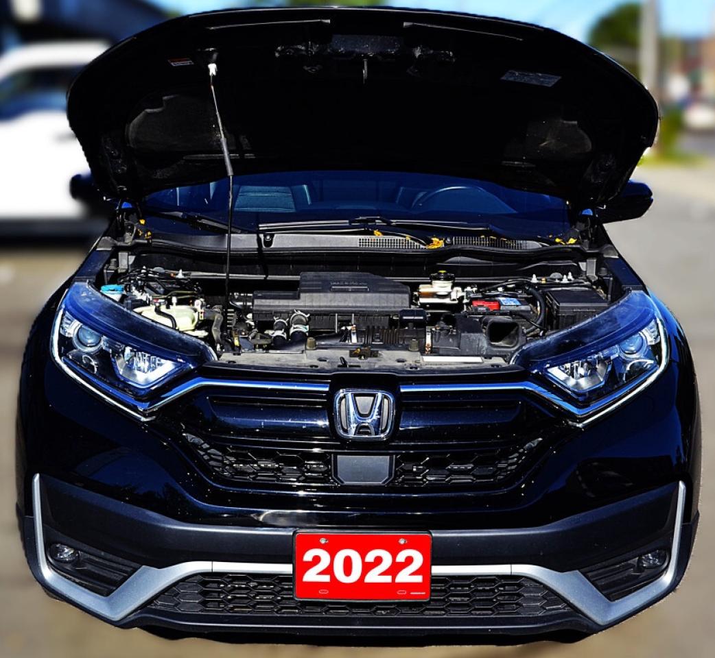 2022 Honda CR-V Sport All-wheel Drive Photo