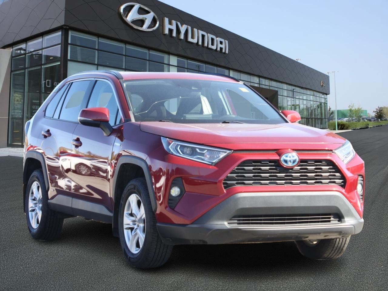 2020 Toyota RAV4 Hybrid Hybrid XLE AWD / Heated Seats / Sunroof / Navigati Photo