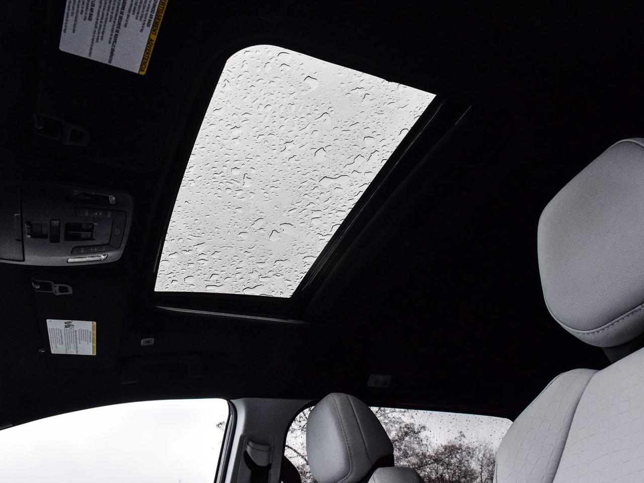 2025 Toyota Sienna XSE Photo