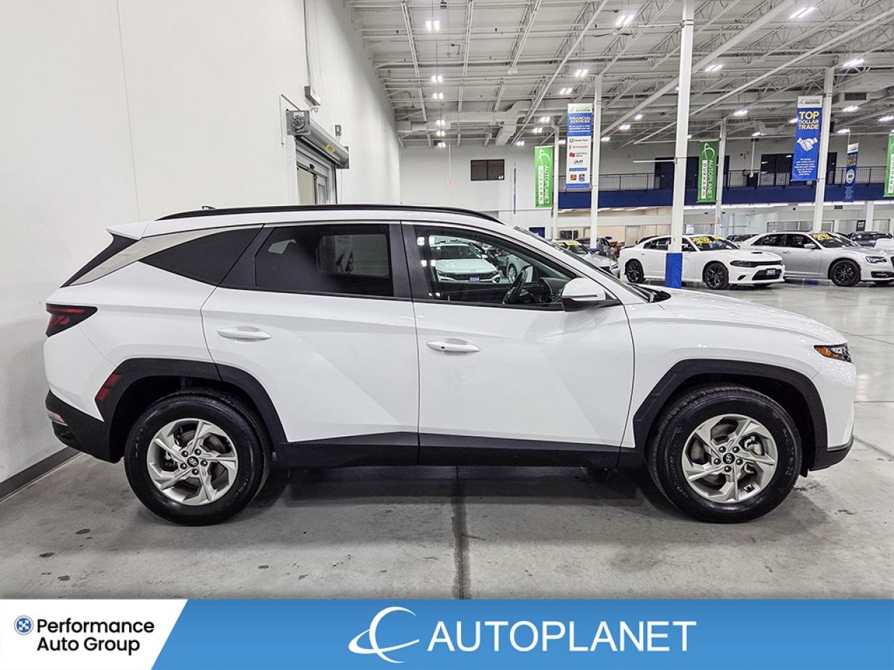 2024 Hyundai Tucson Preferred AWD - FINANCE @$91/WK OR LEASE @$117/WK Photo