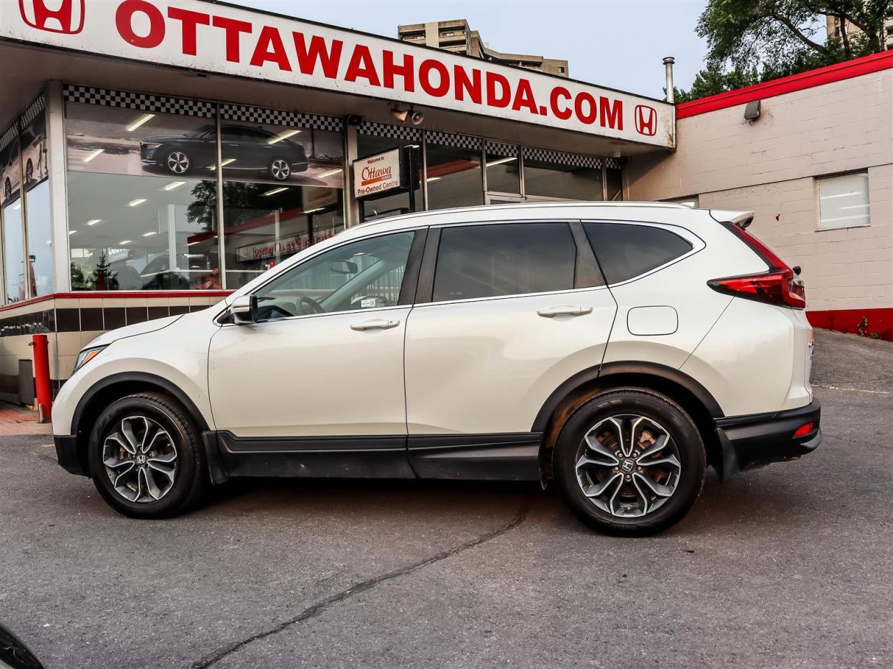 2021 Honda CR-V EX-L AWD SUNROOF LEATHER Photo4
