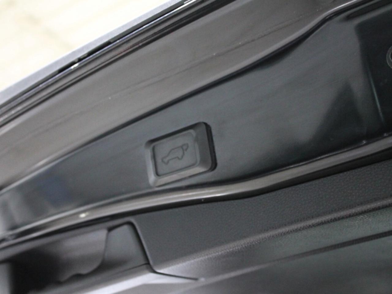 2020 Toyota RAV4 XLE 4dr All-wheel Drive Automatic Photo