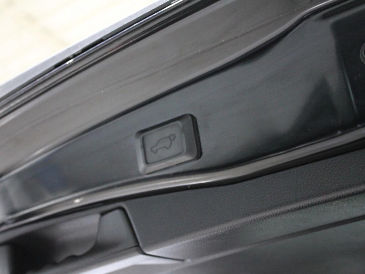 2020 Toyota RAV4 XLE 4dr All-wheel Drive Automatic Photo