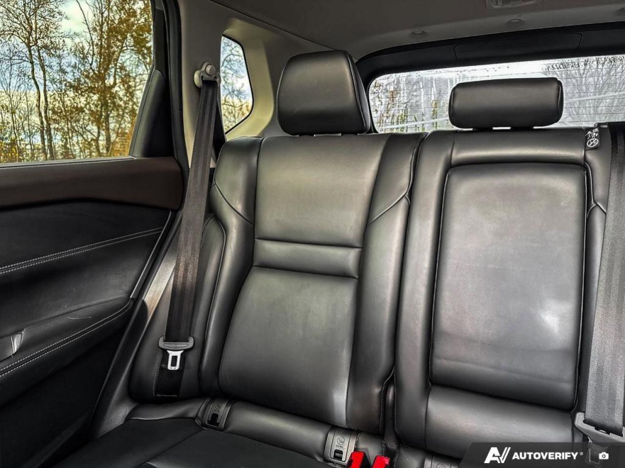 2023 Nissan Rogue Sv Midnight Photo