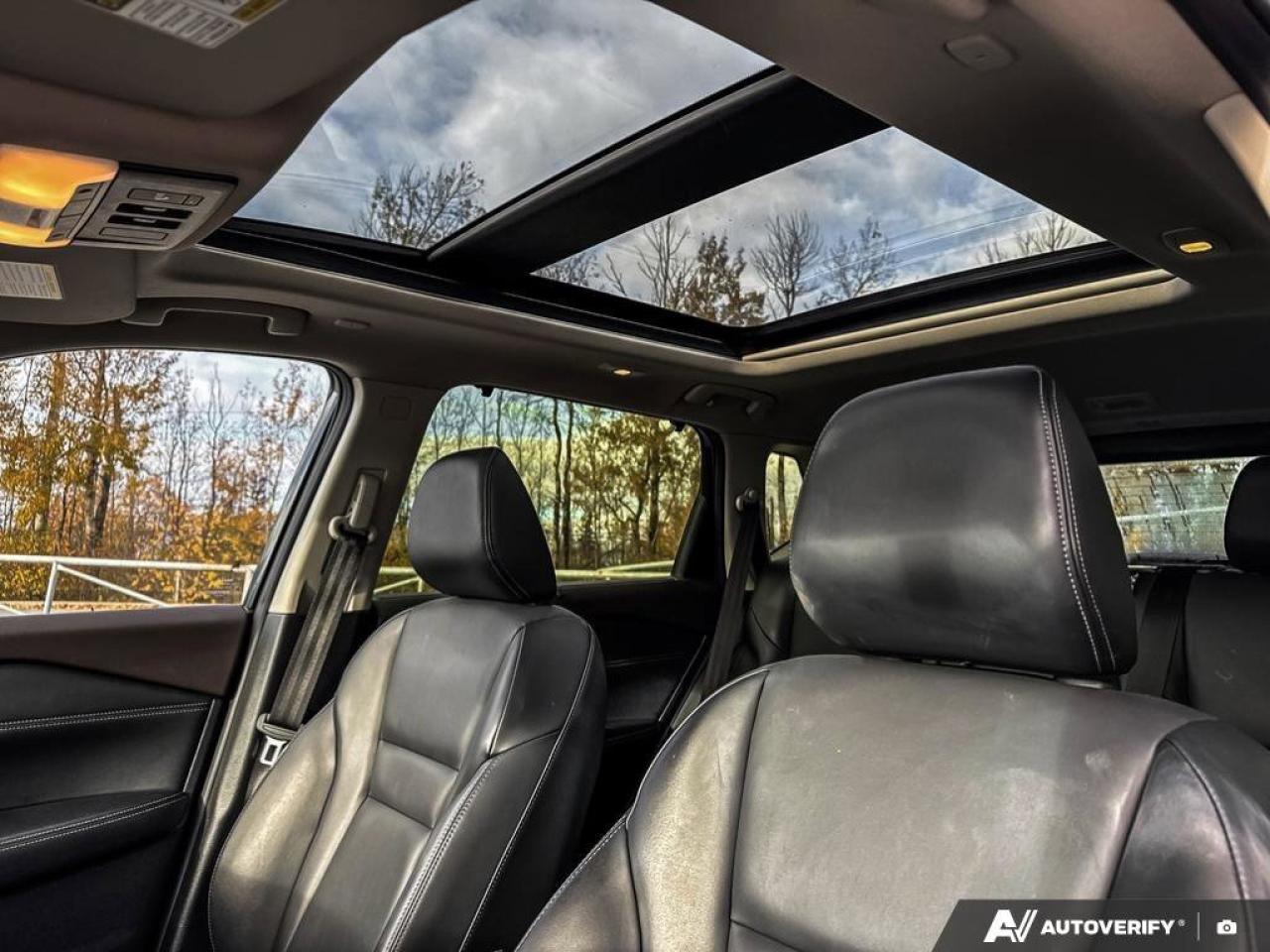 2023 Nissan Rogue Sv Midnight Photo