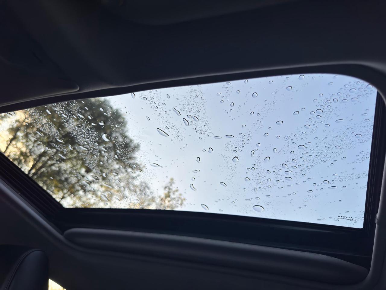 2020 Toyota RAV4 LIMITED AWD Photo