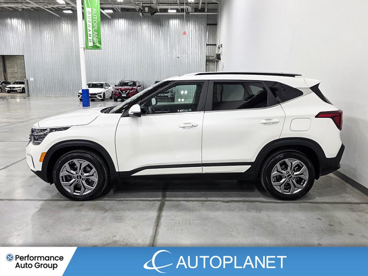 2024 Kia Seltos EX AWD - FINANCE @$76/WK OR LEASE @$94/WK Photo