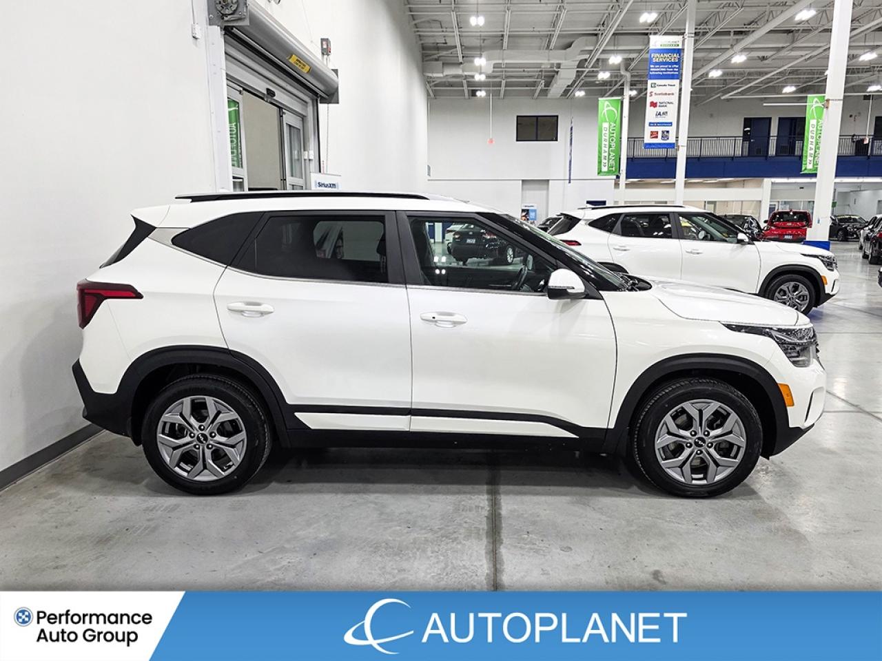 2024 Kia Seltos EX AWD - FINANCE @$79/WK OR LEASE @$94/WK Photo