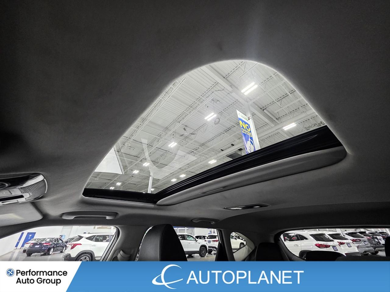 2024 Kia Seltos EX AWD - FINANCE @$76/WK OR LEASE @$94/WK Photo