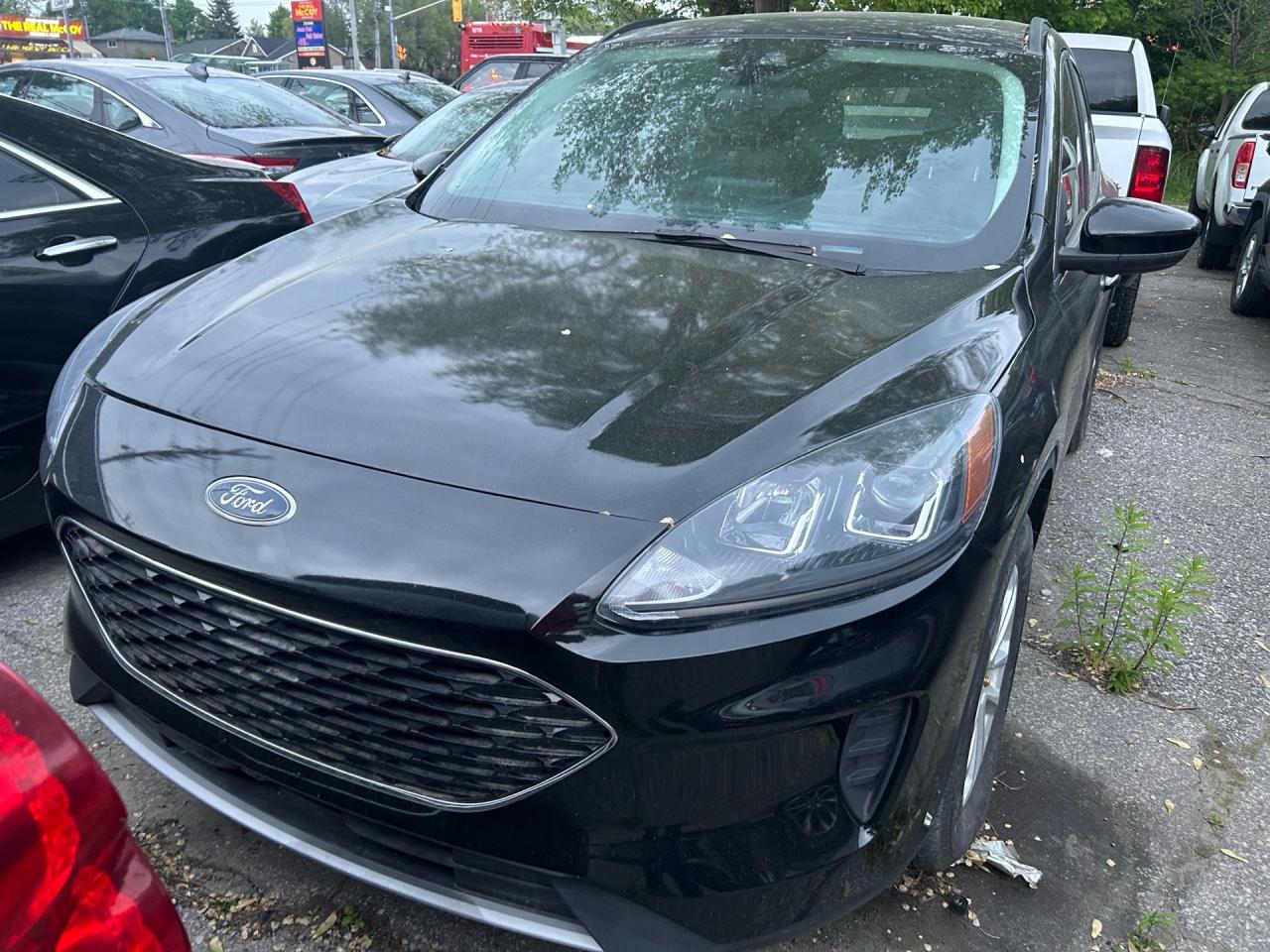 2021 Ford Escape SE FWD Photo