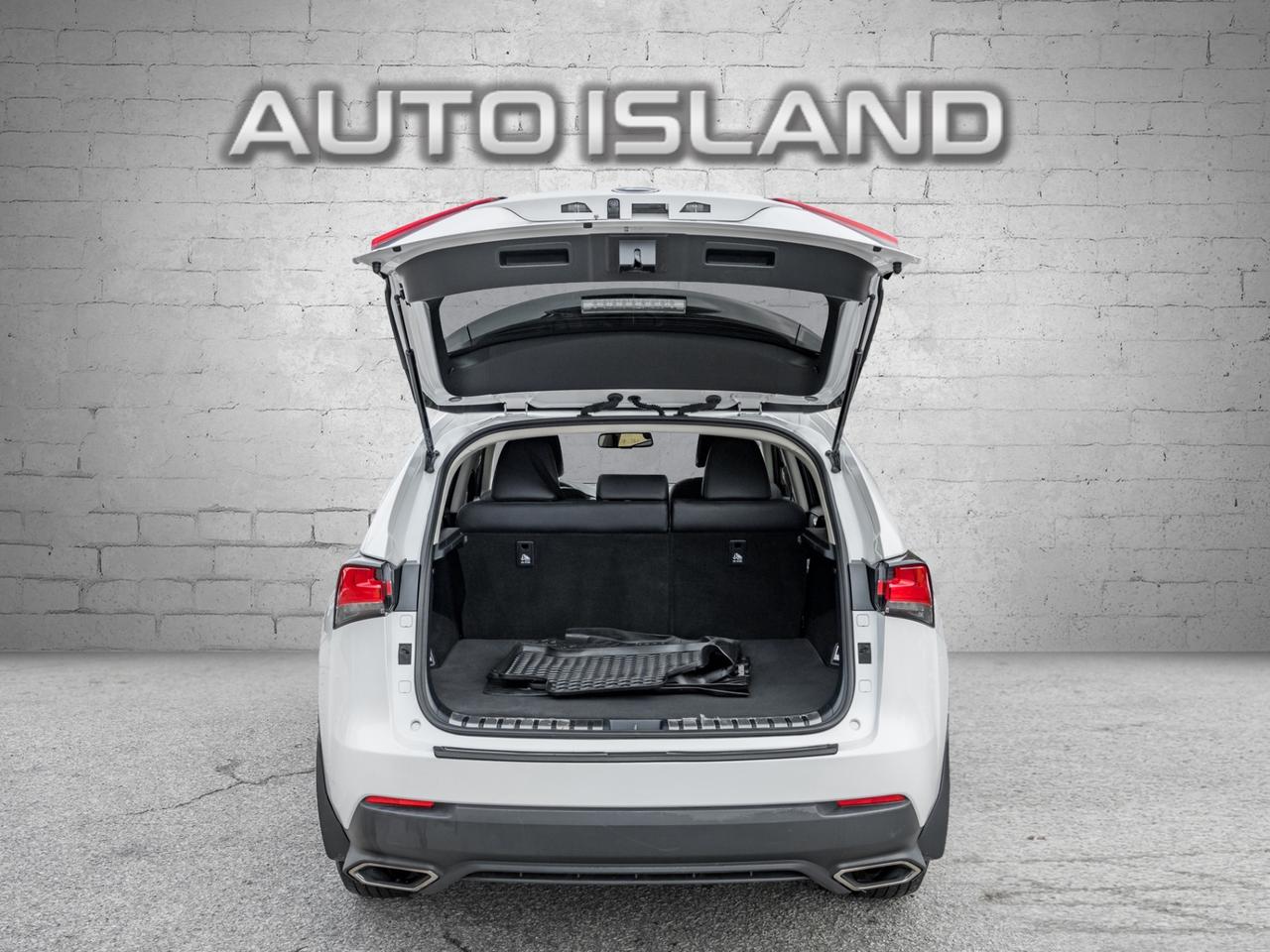 2019 Lexus NX 300 -ONE Owner-NO Accidents-Leather-Rear Camera-He Photo