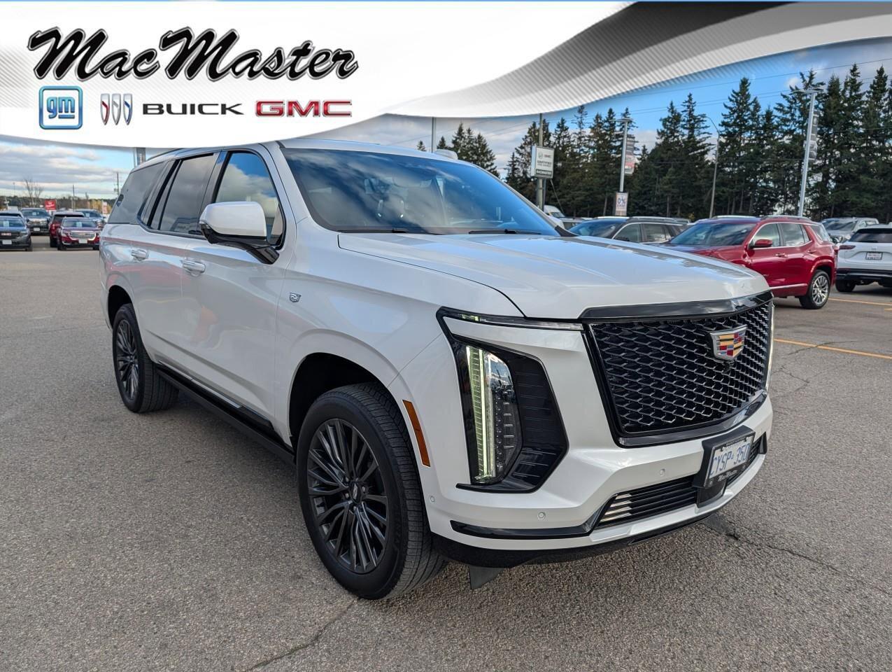 2025 Cadillac Escalade 4WD Sport PlatinumSPORT PLATINUM, 6.2L, COMPANY DE Photo