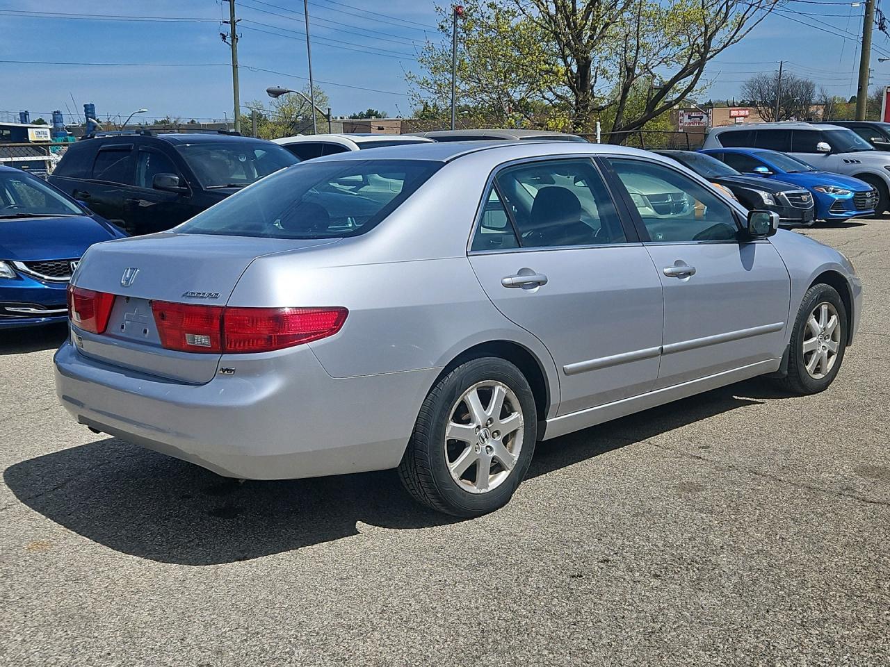 2005 Honda Accord EX-L V6 -Dealer Serviced-Leather-Sunroof-Heated Se Photo