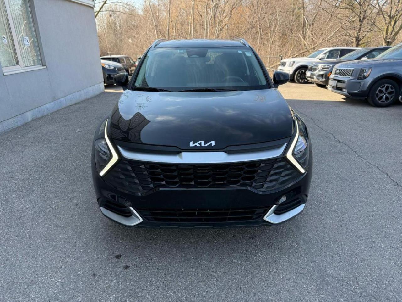 2024 Kia Sportage LX FWD Photo2