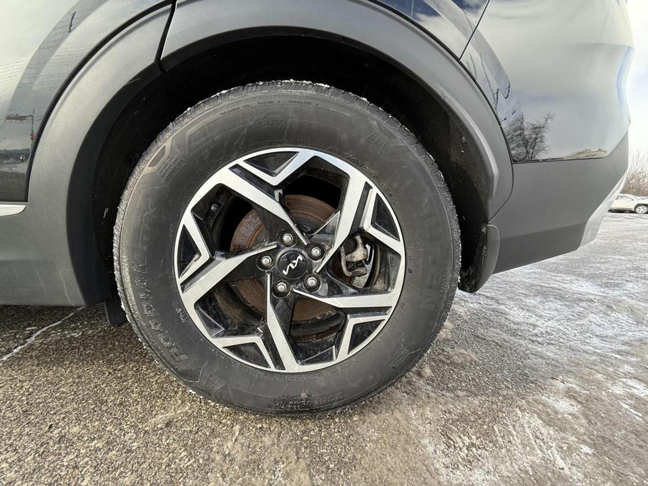 2024 Kia Sportage LX FWD Photo