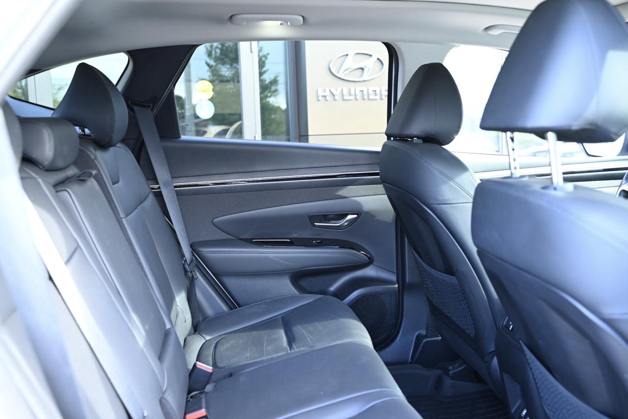 2024 Hyundai Tucson Trend PKG, AWD, NO ACCIDENTS Photo