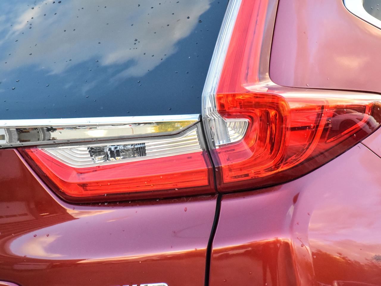 2019 Honda CR-V Touring Photo