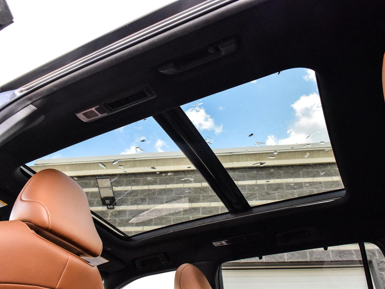 2023 Toyota Highlander LIMITED  Photo